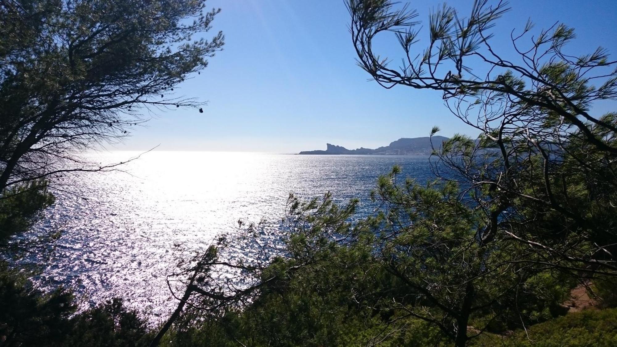 Studio Del Sol Saint-Cyr-sur-Mer Zewnętrze zdjęcie