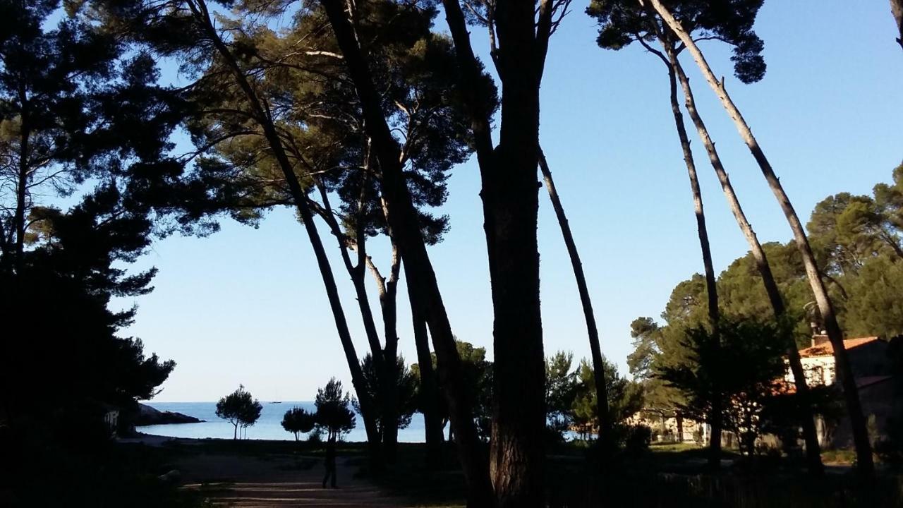 Studio Del Sol Saint-Cyr-sur-Mer Zewnętrze zdjęcie